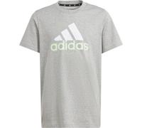 Adidas U BL 2 Tee 152 medium grey heather