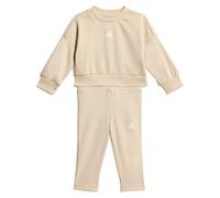 Adidas Seasonals Sweat Set
