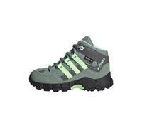 Adidas Unisex Baby Terrex Mid Gore-TEX Hiking Shoes, Silver Green/Green Spark/Grey Four, 23 EU