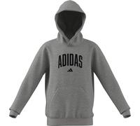 adidas Unisex Kids Codes Collegiate Graphic Hoodie, medium Grey Heather, 11-12 Years