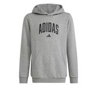 adidas Unisex Kids Codes Collegiate Graphic Hoodie, medium Grey Heather, 13-14 Years