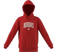 adidas Unisex Kids Codes Collegiate Graphic Hoodie, Pure Ruby, 5-6 Years