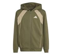 adidas Unisex Kids Color Block Fullzip Hoodie, Olive strata/Wonder Cargo/Crystal Linen, 15-16 Years