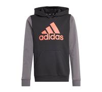 adidas Unisex Kids Essentials Big Logo Colorblock Kids Hoodie Black/Grey Six/Bright Red 152