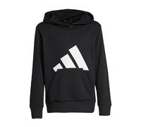 adidas Unisex Kids Essentials Big Logo Hoodie, Black/White, 11-12 Years