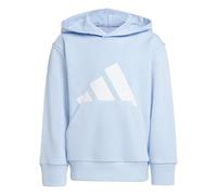 adidas Unisex Kids Essentials Big Logo Hoodie, Glow Blue/White, 7-8 Years