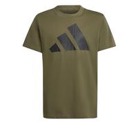 adidas Unisex Kids Essentials Big Logo T-Shirt, Olive strata/Black, 9-10 Years