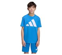 adidas Unisex Kids Essentials Big Logo T-Shirt, ray Blue/White, 11-12 Years