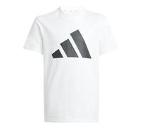 adidas Unisex Kids ESSENTIALS BIG LOGO T-SHIRT SET, white/black, 11-12 Years