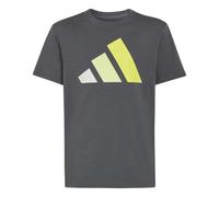 adidas Essentials T-Shirt ältere Kinder KR1650 - grey six/orbit grey/frozen lemon 176