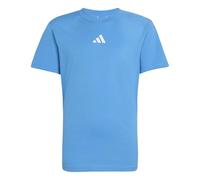 adidas Unisex Kids Essentials T-Shirt, ray Blue/White, 15-16 Years