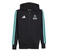 adidas Unisex Kids Mercedes - AMG Petronas Formula 1 Team DNA Full Zip Hoody, Black/semi Mint Rush, 15-16 Years