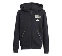 adidas Unisex Kids Seasonals Collegiate Typography Hoody, Black/Off White, 5-6 Years