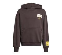 adidas Unisex Kids The Simpsons Kapuzen-Sweatshirt Kinder Night Brown 164