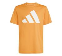adidas Unisex Kids Train Essentials Big Logo T-Shirt, Pure Orange/White, 9-10 Years