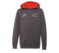 adidas Unisex Kinder Audi Revolut Formula One Team 2026 Driver Hoodie Sweatshirt, Grey strata, 15-16 Years