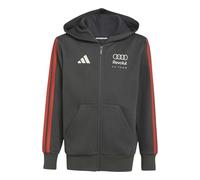 adidas Unisex Kids Audi Formula ONE Team DNA Full Zip Hoodie Youth, Utility Black, 11-12 Years