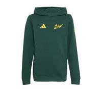adidas Unisex Kinder Audi Revolut Formula One Team Gabriel Bortoleto Graphic Iv Hoodie Sweatshirt, Mineral Green, 7-8 Years