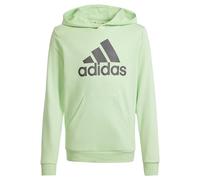 adidas Big Logo Hoody Jungens 152 Grün