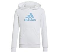 adidas Unisex Kinder Big Logo Essentials Cotton Hoodie, White/semi Blue Burst, 13-14 Years