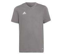 Adidas Unisex Kinder Entrada 22 Tee, Team Grey Four, 9-10 Years