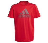 adidas Unisex Kinder Essentials Big Logo Cotton Tee, Better Scarlet/Shadow red, 15-16 Years