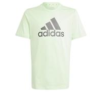adidas Kinder T-Shirt ESSENTIALS BIG LOGO, Baumwolle, hellgrün Gr. 152