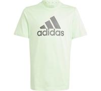 Adidas Essentials Big Logo Cotton T-Shirt Kinder T-Shirt, grün 164
