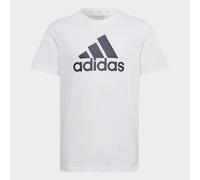 adidas Unisex Kinder Essentials Big Logo Cotton Tee, White / Black, 15-16 Years