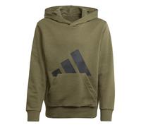 adidas Unisex Kinder Essentials Big Logo Hoodie, Olive strata/Black, 7-8 Years