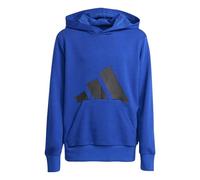 adidas Unisex Kinder Essentials Big Logo Hoodie, Team royal Blue/Black, 9-10 Years