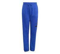 Adidas Unisex Kinder Essentials Big Logo Pants, Team royal Blue/Black, 9-10 Years