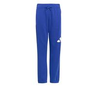 adidas Unisex Kinder Essentials Big Logo Pants, Team royal Blue/White, 9-10 Years