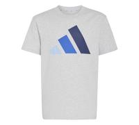 adidas Unisex Kinder Essentials Big Logo Shirt, Light Grey Heather/Glow Blue/Team royal Blue/Dark Blue, 7-8 Years