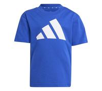 adidas Unisex Kinder Essentials Big Logo T-Shirt, Team royal Blue/White, 5-6 Years