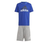 adidas Unisex Kinder Essentials Logo Tee and Short Set, semi lucid blue/MULTICOLOR, 5-6 Years