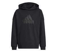 adidas Unisex Kinder Hooded Sweat U Fi Logo Hd, Black/Black, HR6301, 128