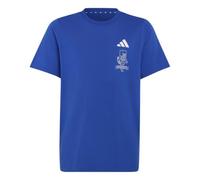 adidas Unisex Kinder Minecraft Shirt, Team royal Blue, 15-16 Years