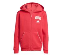 Adidas Unisex Kinder Seasonals Collegiate Typography Hoody Kapuzenpullover