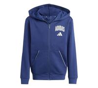 Adidas Unisex Kinder Seasonals Collegiate Typography Hoody Kapuzenpullover