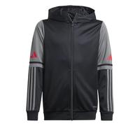 Adidas Unisex Kinder SQUADRA25 Hoody Kids Black/Team Grey Four/Pure Ruby, 13-14 Years