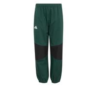adidas Unisex Kinder Terrex Kids Multi 2 Layer Climaproof Rain Pants, Collegiate Green, 9-10 Years