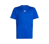 adidas Unisex Kinder Train Essentials Logo Regular Fit T-Shirt Junior, Royal Blue/White, 11-12 Years