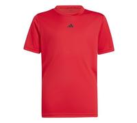 adidas Unisex Kinder Train Essentials Logo Regular Fit T-Shirt Junior, Pure Ruby/Black, 5-6 Years
