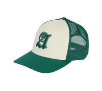 adidas Unisex Stadium Graphic Trucker Cap, Ivory/Collegiate Green, M-L