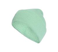 Czapka zimowa Adidas Terrex Multi Beanie - pulse mint (OSFM)