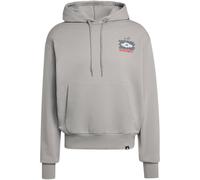 adidas Volleyball Fun Graphic Hoodie KG0162 - mgh solid grey 3XL