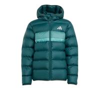 adidas Winterjacke J SD (warm, synthetische Isolierung) aurora ivygrün Kinder, Größe 140