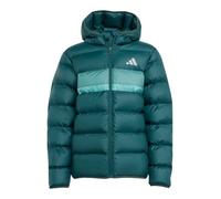 adidas Winterjacke J SD (warm, synthetische Isolierung) aurora ivygrün Kinder, Größe 164