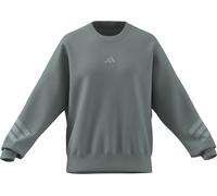 adidas Women's Future Icons Three Stripes Sweatshirt, Wonder Sage, XS